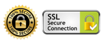 APS-SSL-Secure-Connection-300x128-1