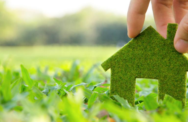 ecologismo