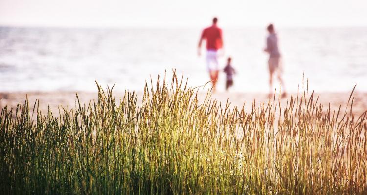 Abogados de Familia: Derechos Básicos de la Filiación