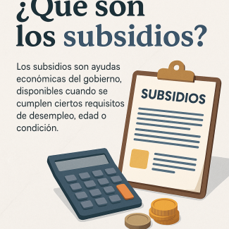 Qué son los subsidios